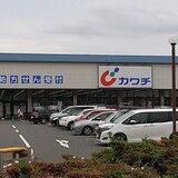 【店頭トレンド発信】解析！メガドラッグストアの先駆者、カワチ薬品の特長と強さ