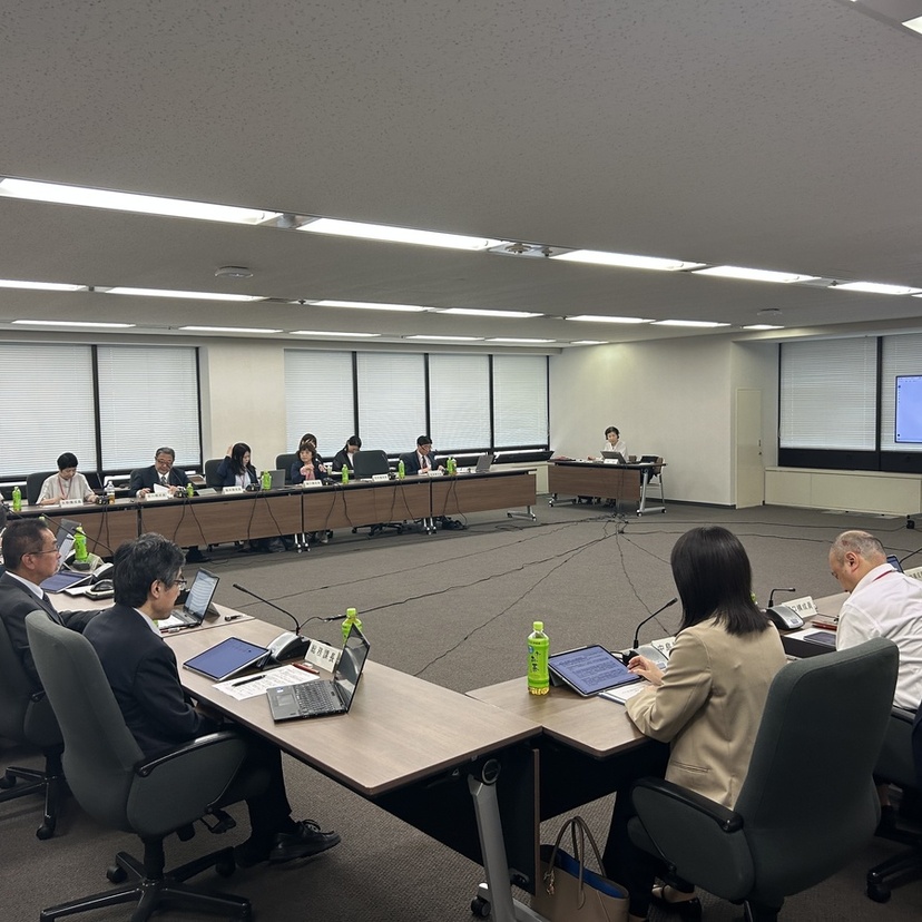 【改正薬機法_認定薬局】“上乗せ”機能に基準明確化の意見／厚労省検討会
